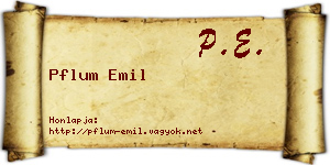 Pflum Emil névjegykártya